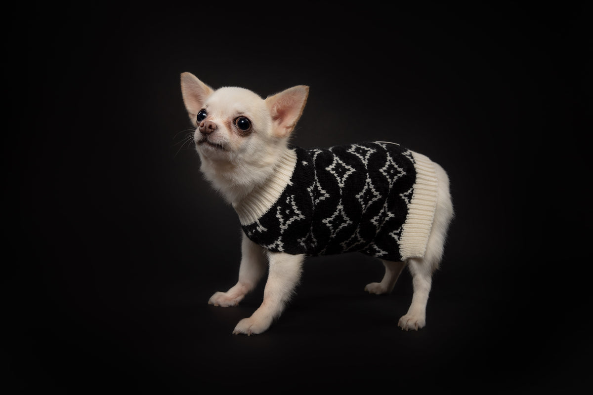 You are not alone Sleeveless Jumper