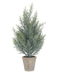 Mini Fir Tree in Stone Pot Tabletop Winter Greenery