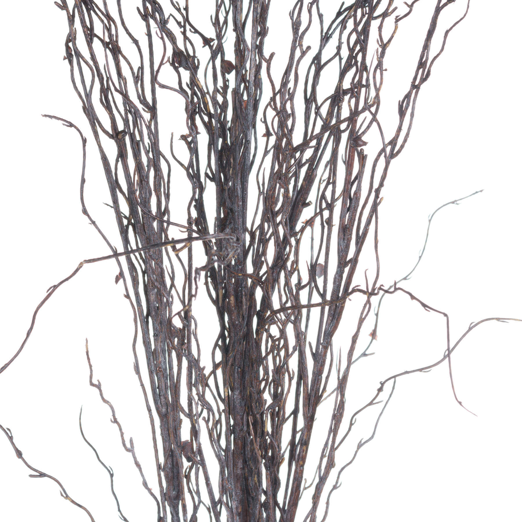 Fresh Branch Spray | Natural Air Freshener