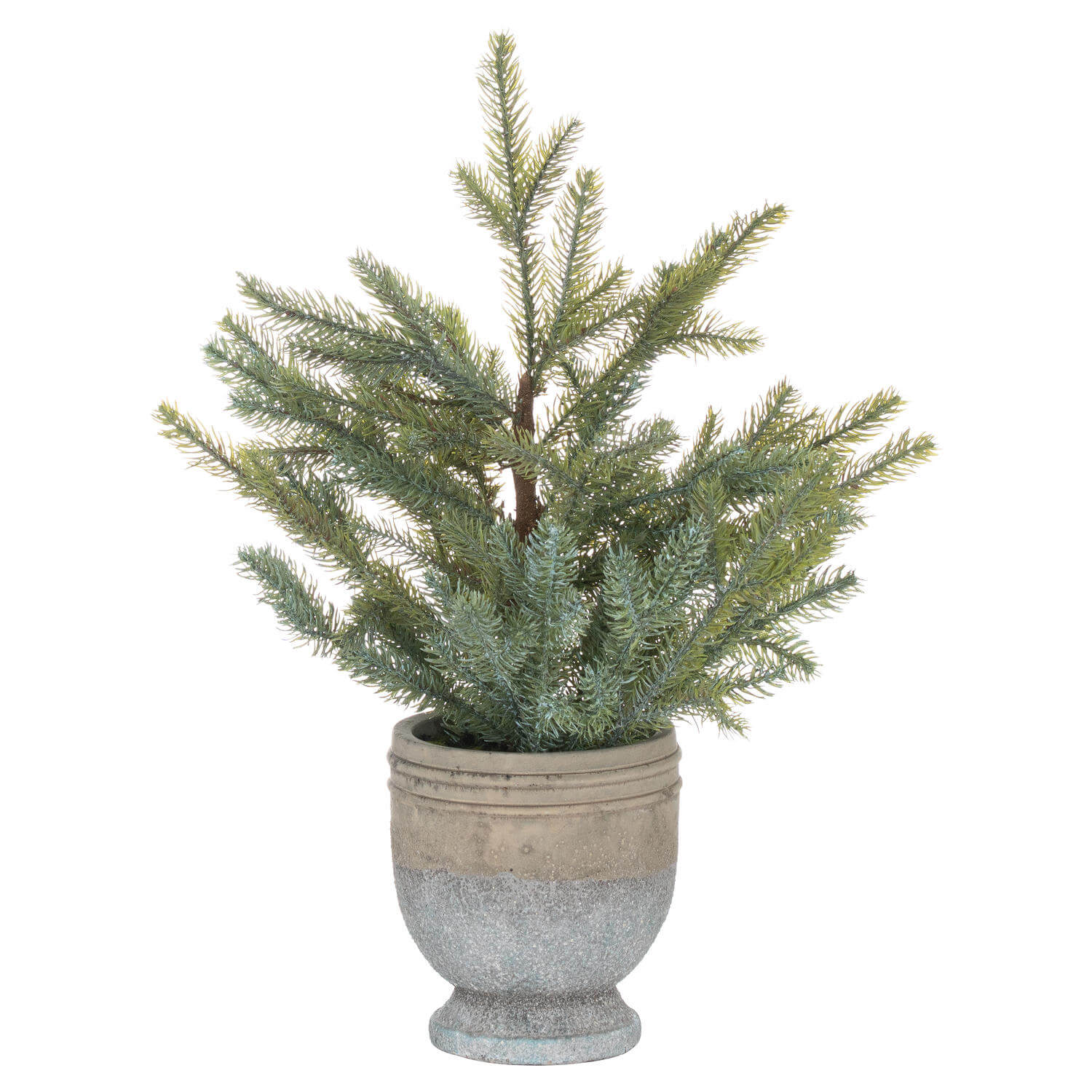 Elegant Garda Pine Tree in Stone Pot | Home Decor