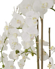 5ft white artificial orchid in distressed stone pot, lifelike blooms and green leaves, elegant home decor centerpiece by sostter at brixbailey.com
