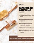Eco Bath London Luxury Natural Sisal Olive Wood Body Brush - The Ultimate Dry Brushing Body Brush