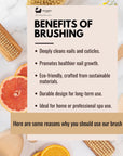 Eco Bath Natural Sisal Nail Brush Collection - Available in Beech Wood, Walnut Wood and Olive Wood
