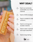Eco Bath Natural Sisal Nail Brush Collection - Available in Beech Wood, Walnut Wood and Olive Wood