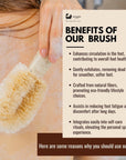 Eco Bath Natural Sisal Round Brush Japanese Style