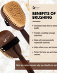 Eco Bath London Natural Sisal Walnut Wood Body Brush - Luxurious Dry Brushing Body Brush