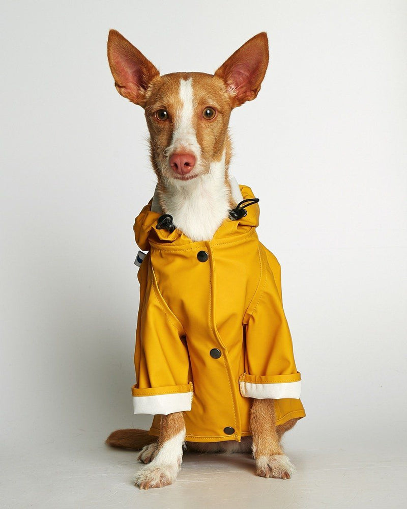 Eco-Friendly Sarah Raincoat - Recycled Ocean Plastic