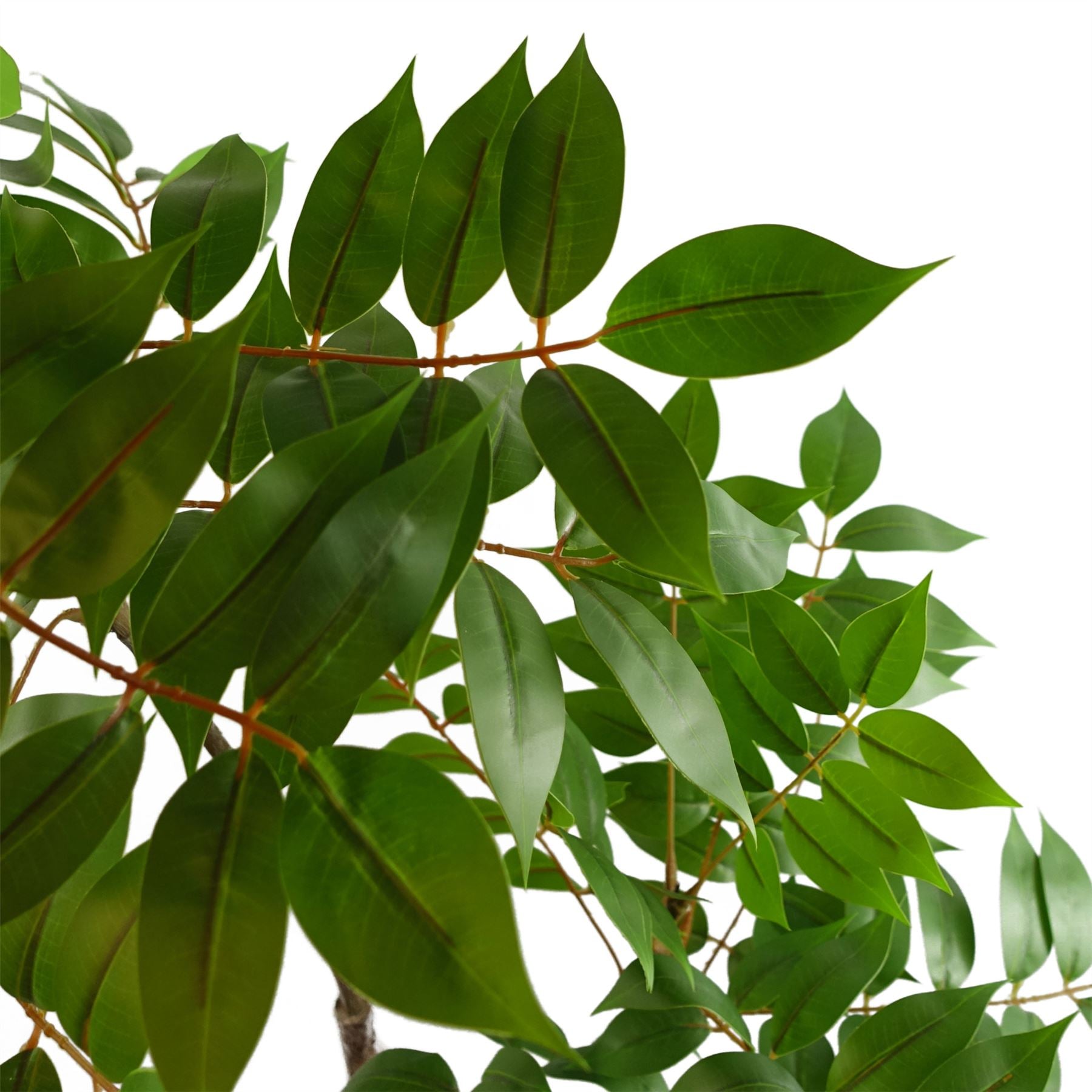 110cm Artificial Toona Sinensis Tree Evergreen-1