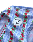 Eden's Orchard Dog Cooling Vest