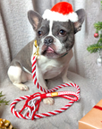 Make Your Own Dog Lead Craft Kit - Candy Cane Sparkle