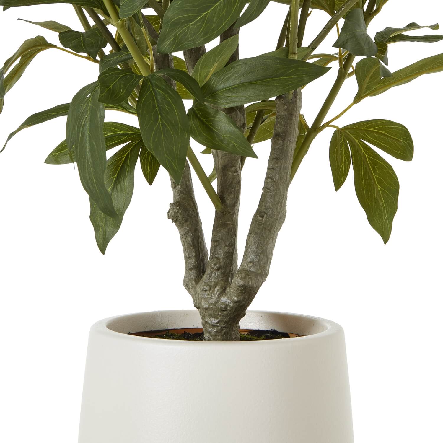 White Peony Bush in Pot with Lifelike Blooms