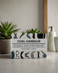 Eucalyptus Lemon and Mint 100g Shave Bar