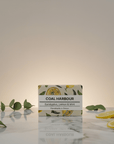 Eucalyptus, Lemon & Mint 100g Soap Bar