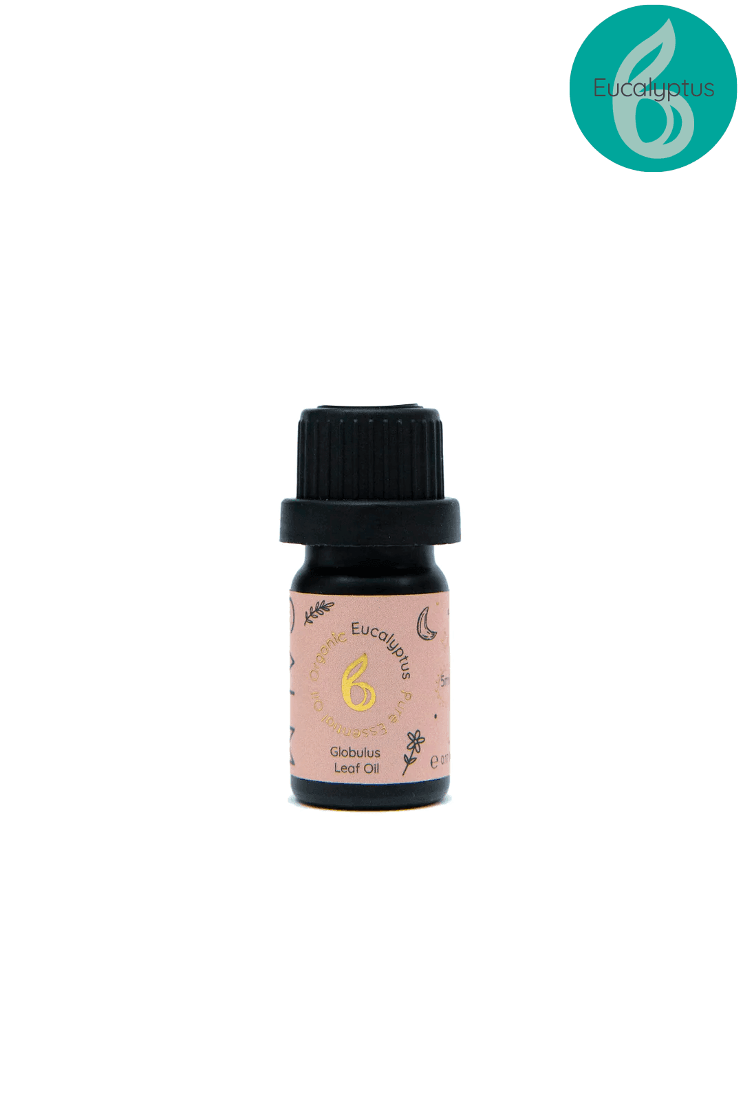 Live Calm Essential Oil Set with Peppermint, Lemon and Eucalyptus