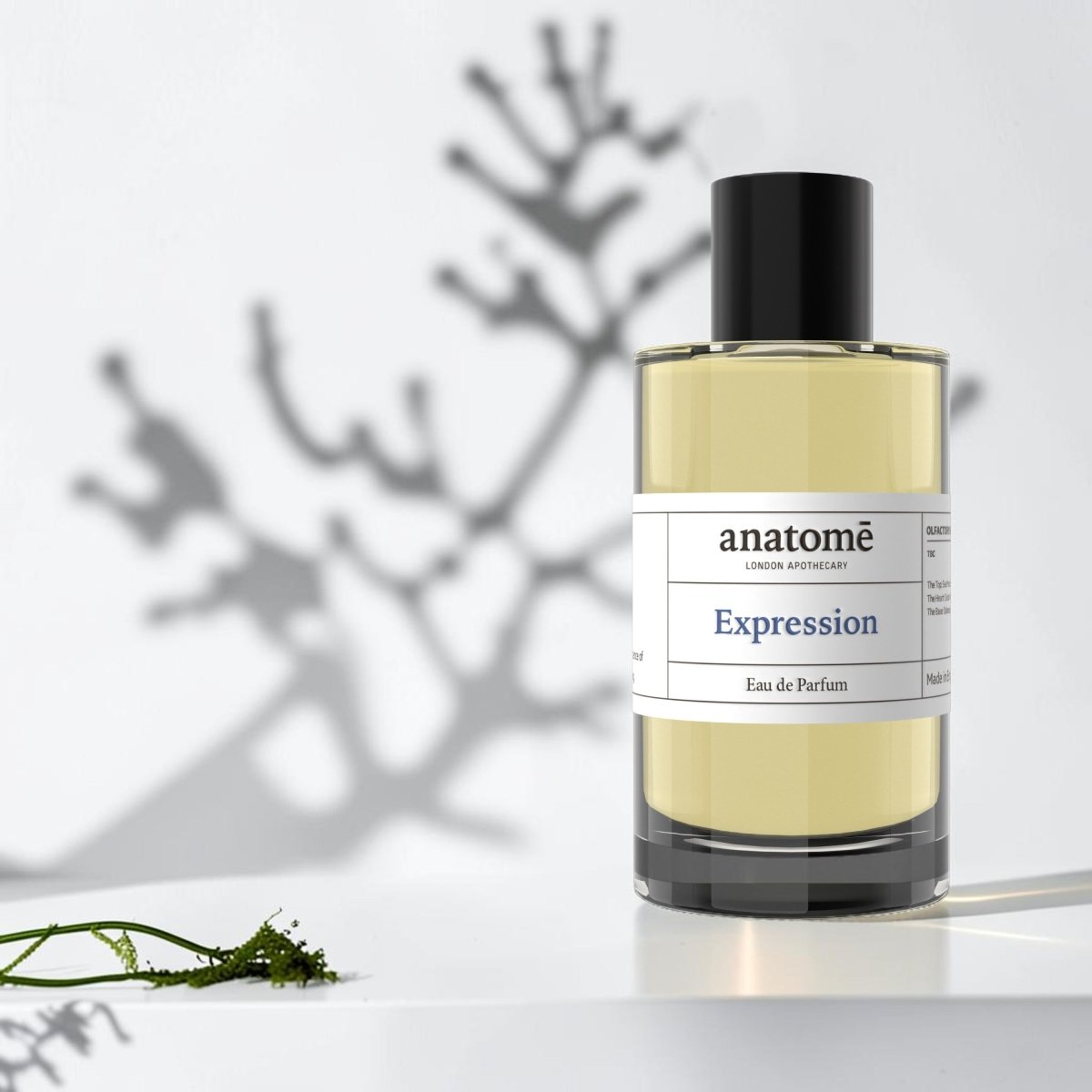 Expression Eau de Parfum | Open the Breath &amp; Support Expression 100ml