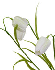 Faux White Fritillaria Stem