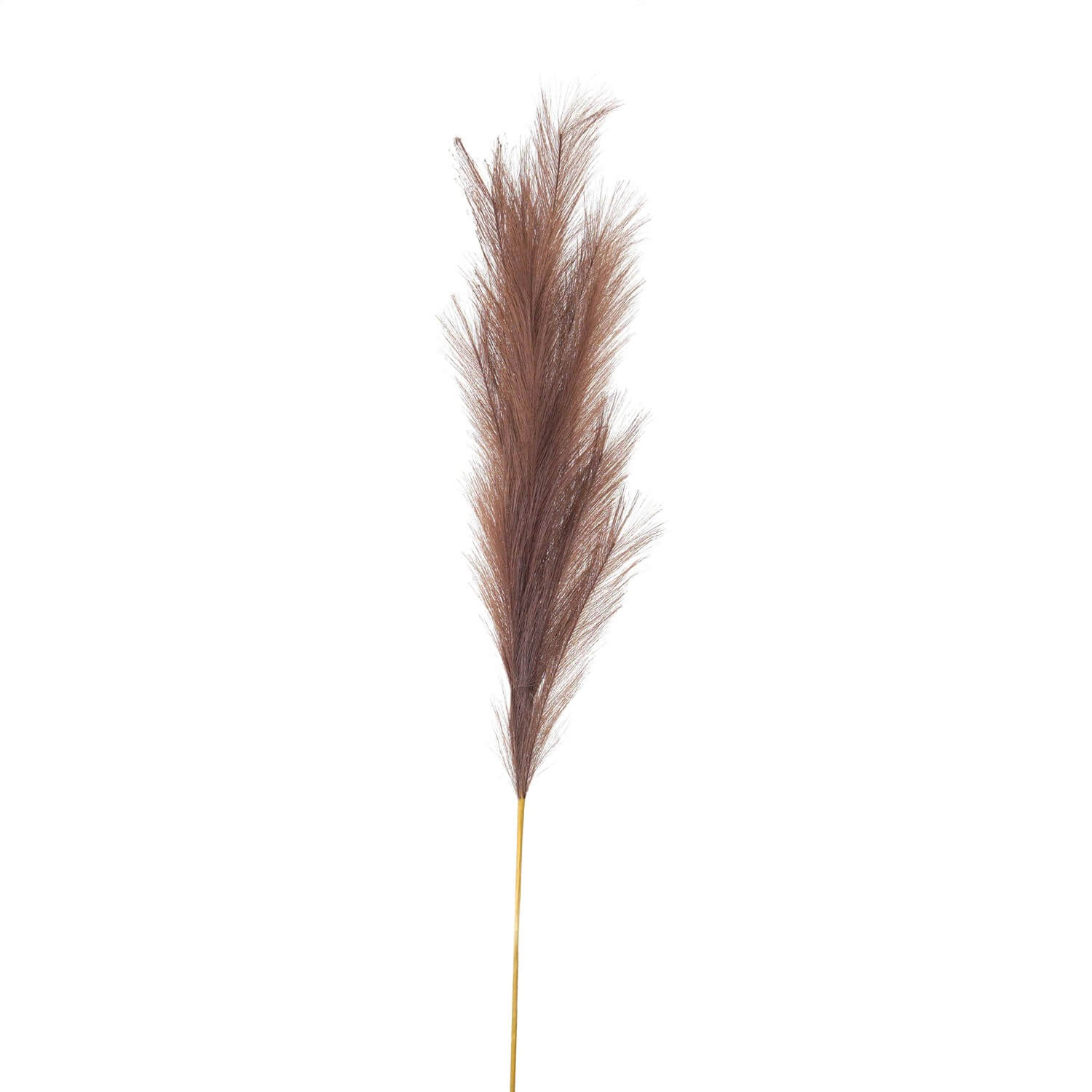 Elegant Taupe Faux Pampas Grass | Large Statement Stem