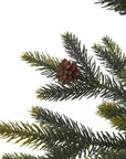 Medium Spruce Tree in Wicker Basket