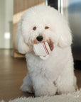 Espresso Pop Enrichment Dog Toy