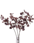 Burgundy Berried Eucalyptus Stem