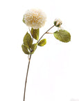 White Dahlia Faux Flower Stem for Home Display