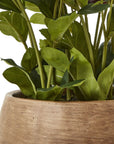 Faux Plum Hellebore in Taupe Pot