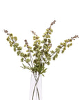 Tall Green Hops Stem for Delightfully Stylish Home Display