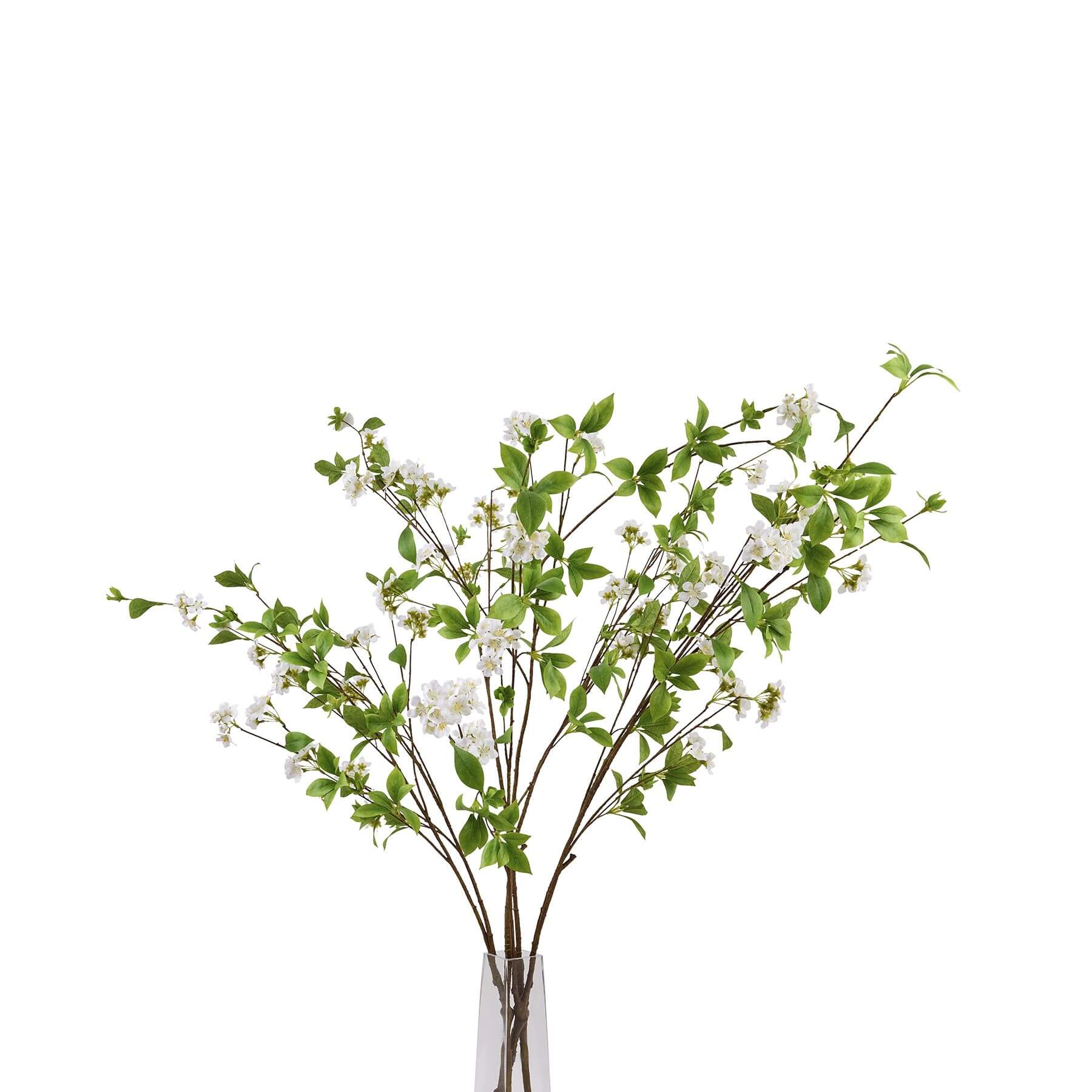 Realistic mock orange spray with glossy green leaves and delicate white petals for home decor by Sostter at brixbailey.com