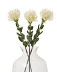 Cream Protea Pincushion Faux Flower Stem
