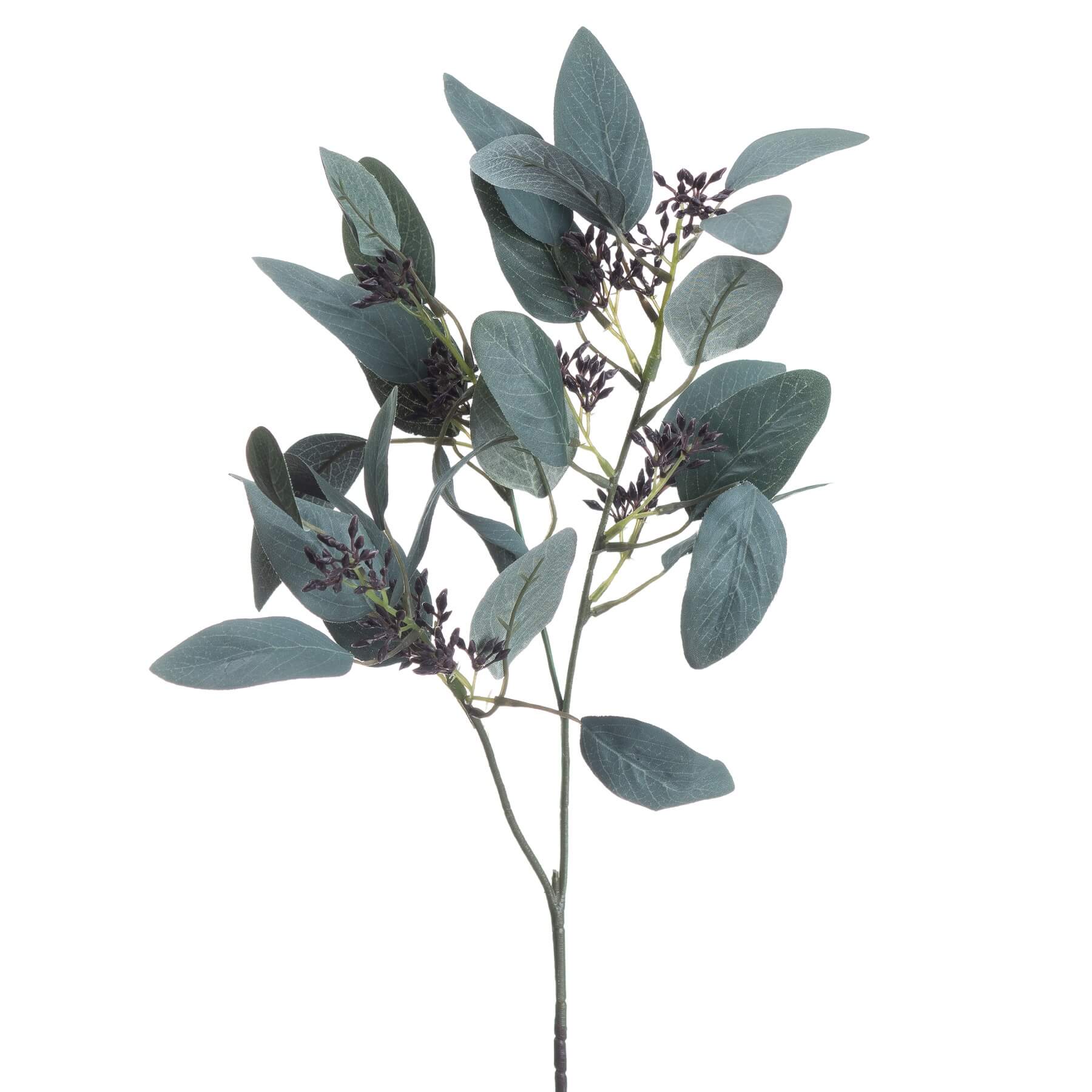 Fresh Seeded Eucalyptus Stems | Natural Home Decor