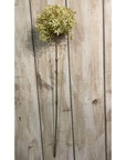 Green and Cream Faux Allium Bouquet