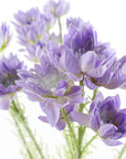 Pack of 6 x Artificial Flowers Purple Starflower Stem - 5 Flowers 60cm-2