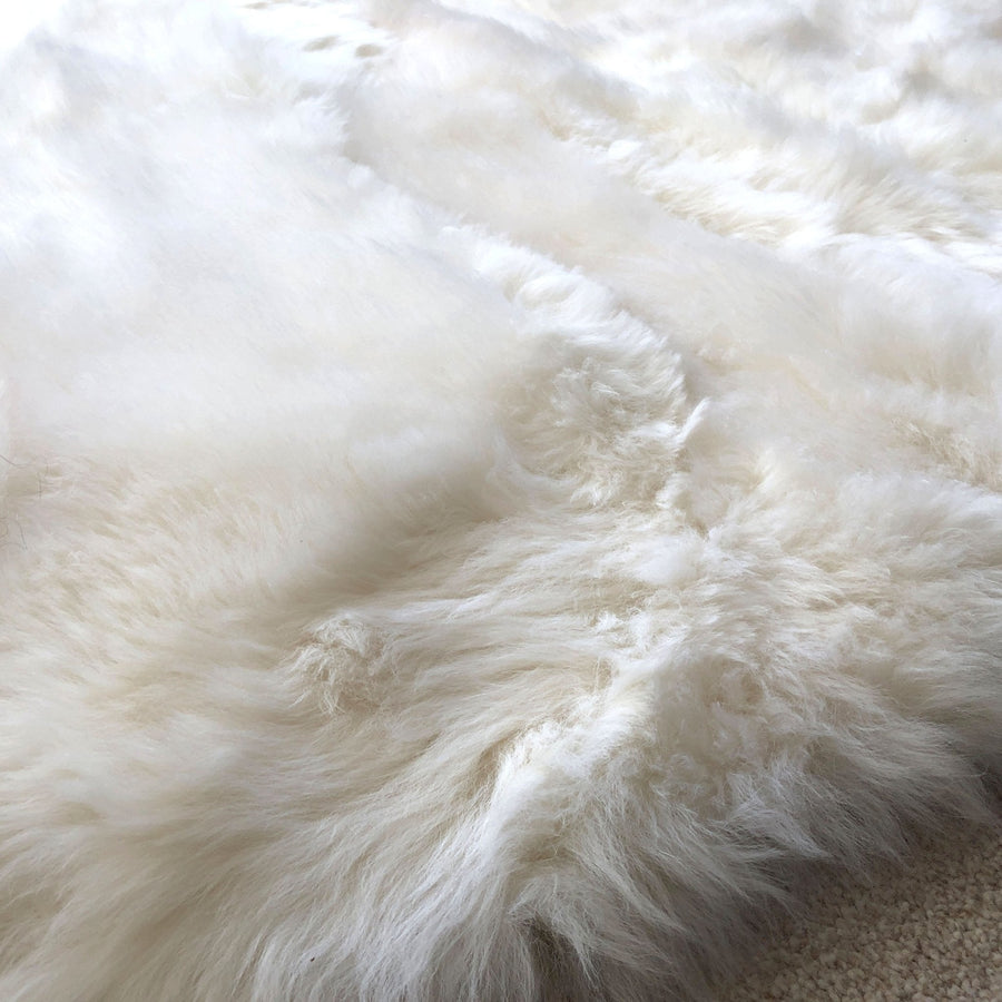 Premium British Sheepskin Rug in Ivory Cream White, Luxurious Soft Fur, Rectangular 55cm x 85cm, Handcrafted Sustainable Free-Range Sheepskin by Wildash London at brixbailey.com