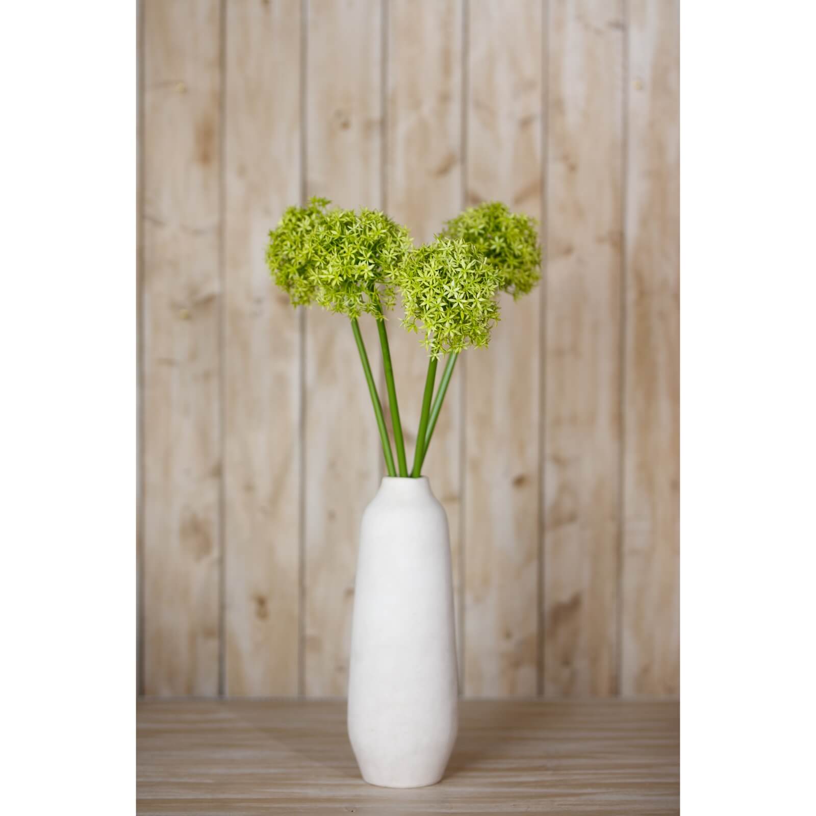 Vibrant Green Allium Stem for Interior Styling
