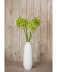 Vibrant Green Allium Stem for Home Styling