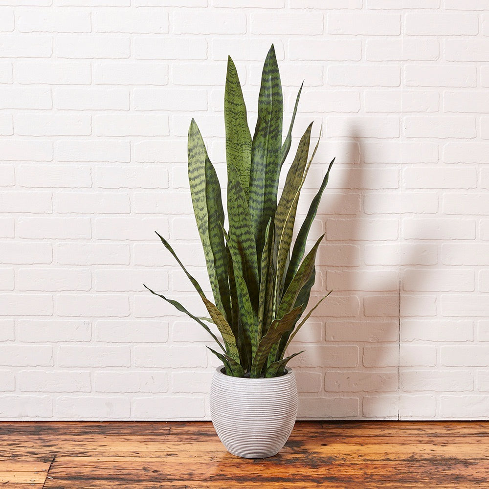 Artificial Snake Plant - 40"