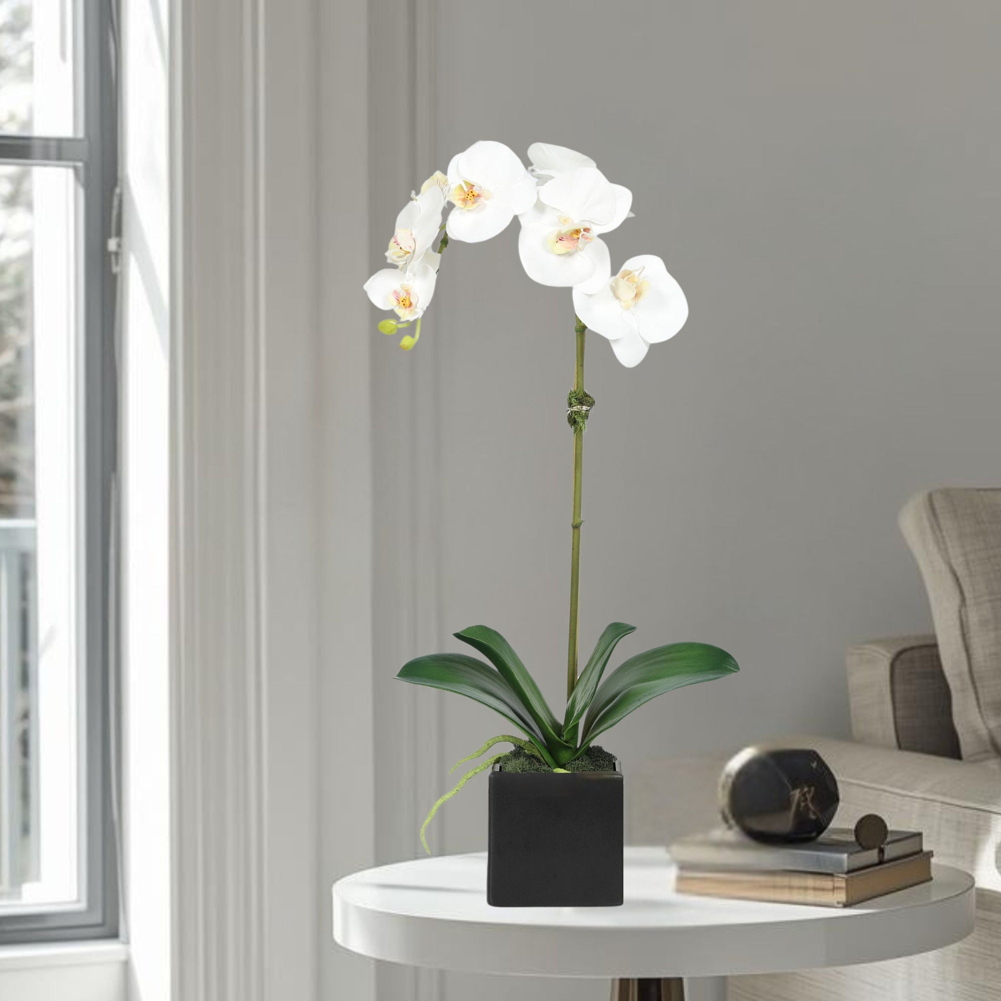 Faux Orchid Plant in Square Vase - 20"