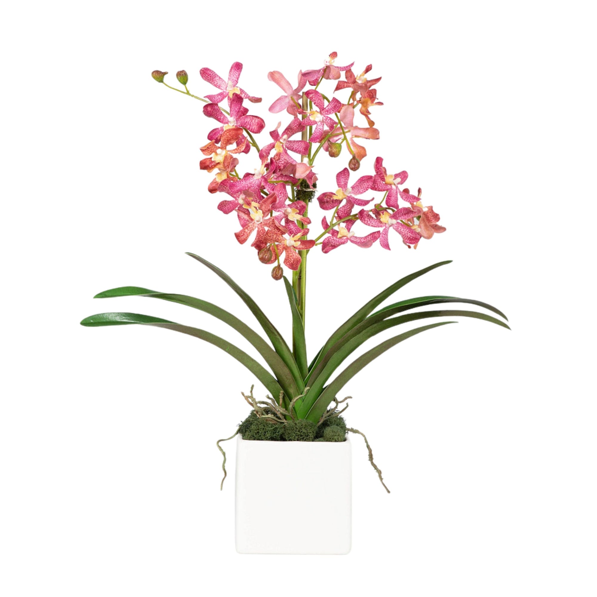 Pink Vanda Orchid Arrangement in Vase - 24"