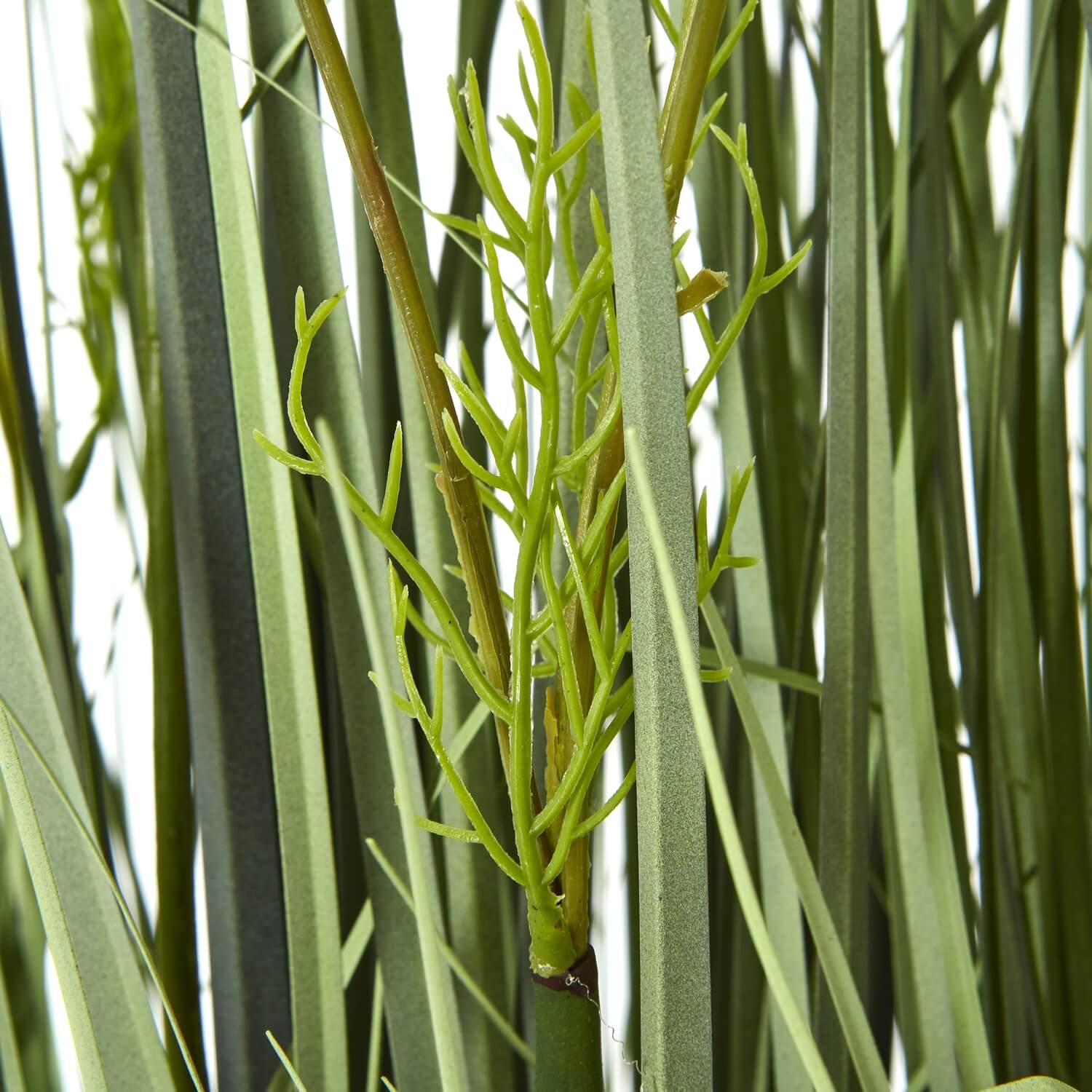 Large White Meadow Plant in Decorative Pot