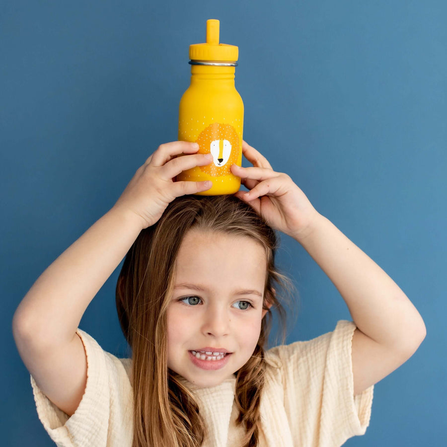 Stainless Steel Bottle 350 ml - Mr Lion