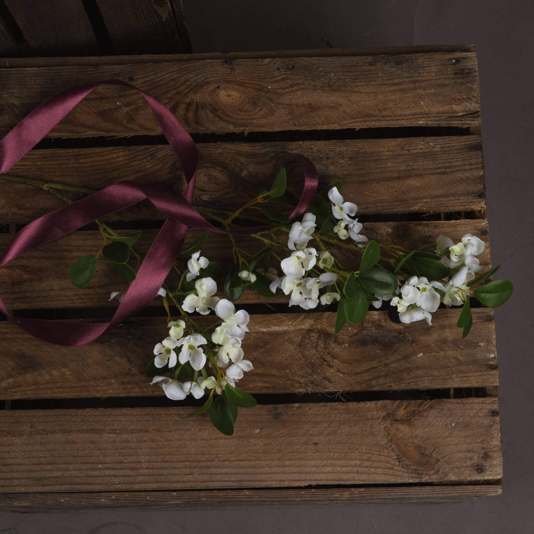 Fragrant White Mock Orange Blossom | Spring Freshness