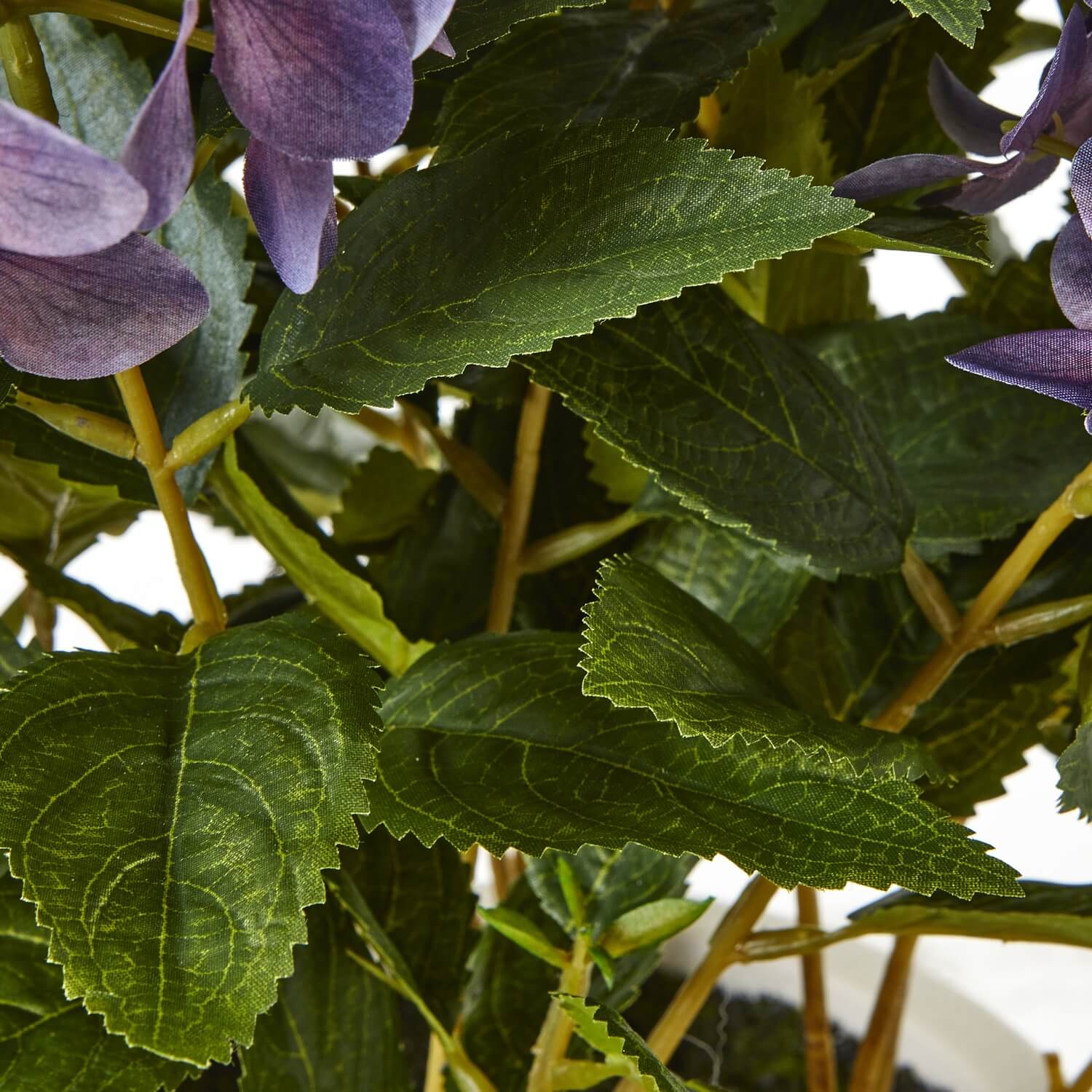 Lavender Hydrangea in Decorative Pot