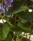 Lavender Hydrangea in Decorative Pot