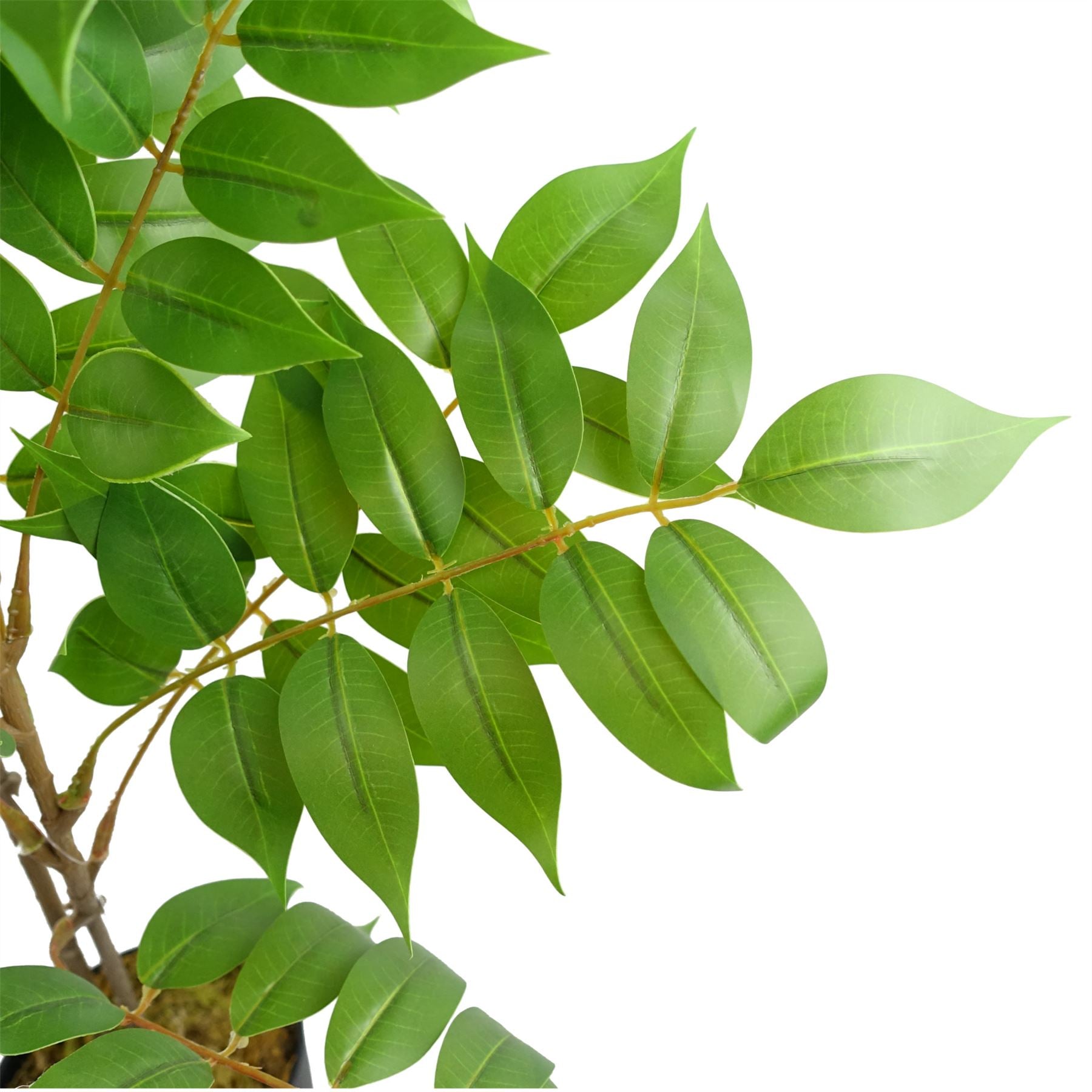 110cm Artificial Toona Sinensis Tree Evergreen-3