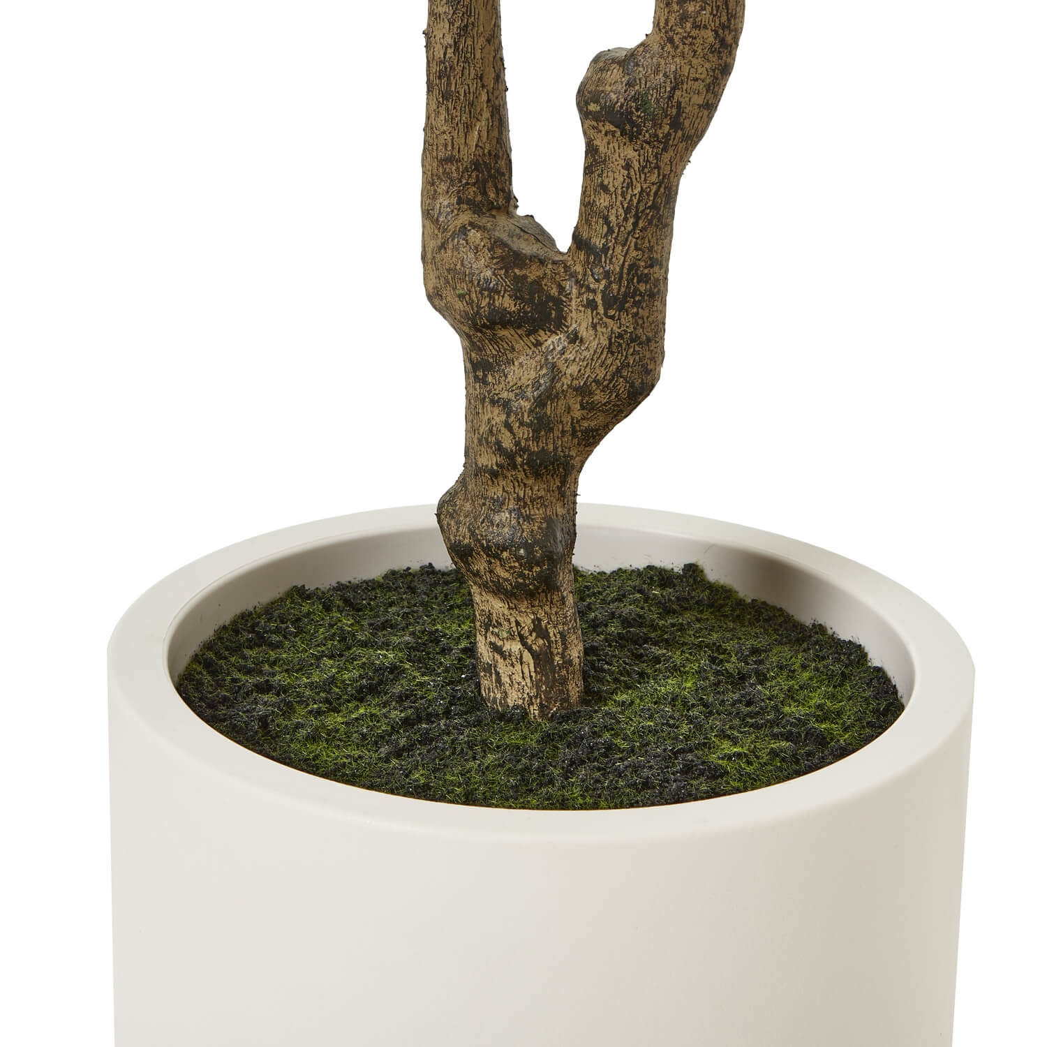 Artificial Olive Tree 210cm in White Pot