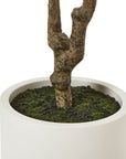 Artificial Olive Tree 210cm in White Pot