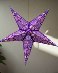 Firework Violet