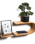 Floating Oval Wooden Wall Shelf