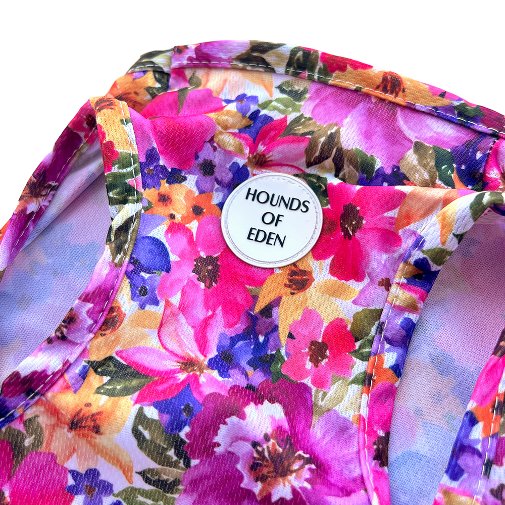 Florentina Dog Cooling Vest