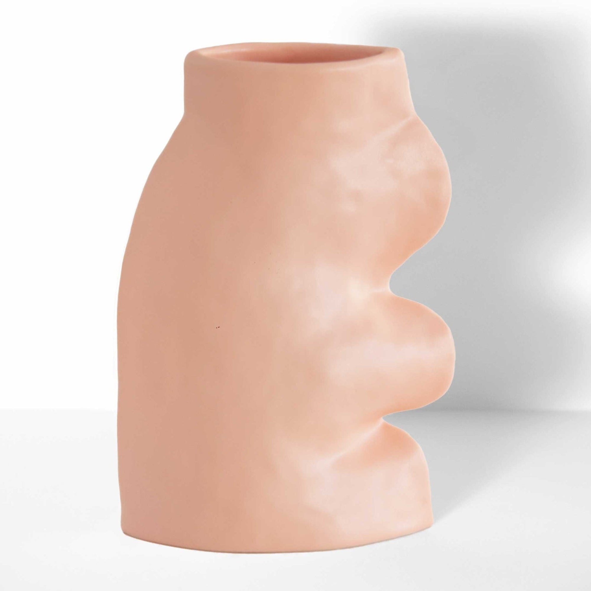 soft pink ceramic vase on a cozy living room shelf, glowing with morning light